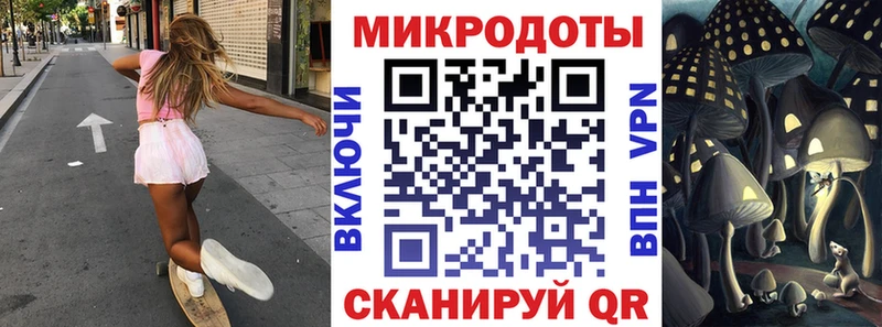 как найти   блэк спрут как зайти  даркнет наркотические препараты  Опочка  Галлюциногенные грибы Psilocybine cubensis 