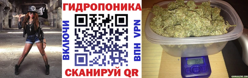 Бошки марихуана план  Опочка 